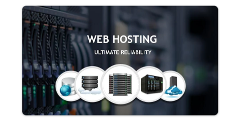 What Is Web Hosting, and Why It’s Your Website’s Heartbeat!