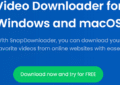 Online YouTube Video Downloader