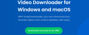 Online YouTube Video Downloader